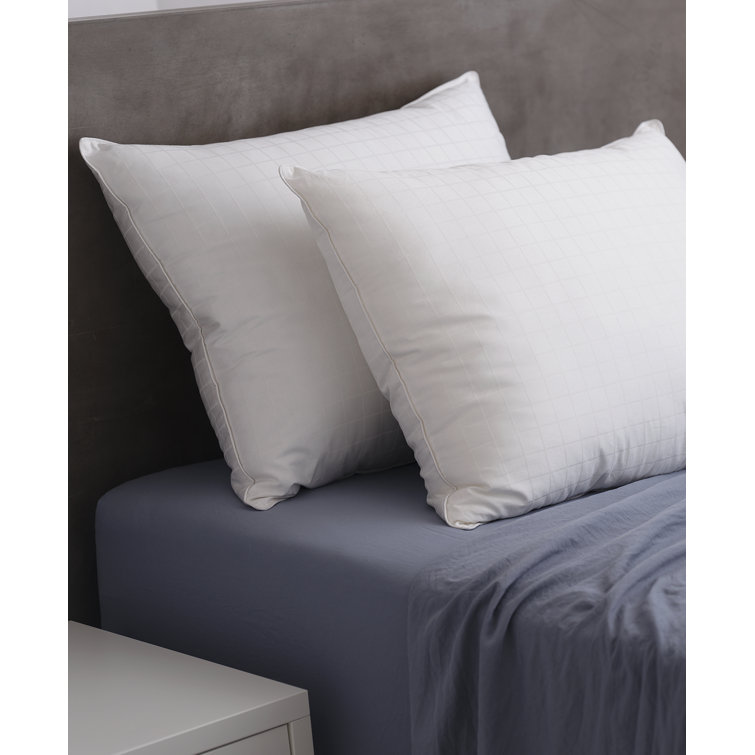 Alwyn Home Hurlock Down Alternative Medium Support Pillow 2 Pack Wayfair